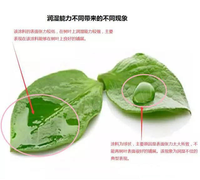 微信圖片_20190227163140.jpg 微信圖片_20190227163140.jpg