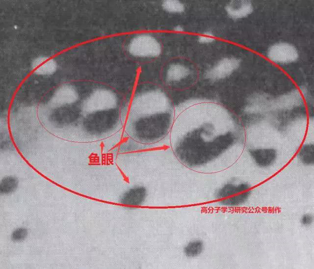 微信圖片_20190227163150.jpg 微信圖片_20190227163150.jpg